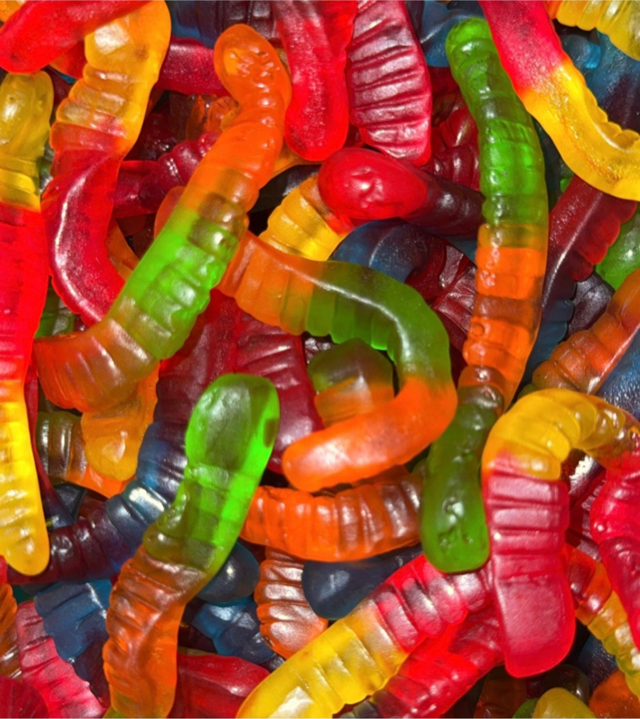 Serpents - (100g)