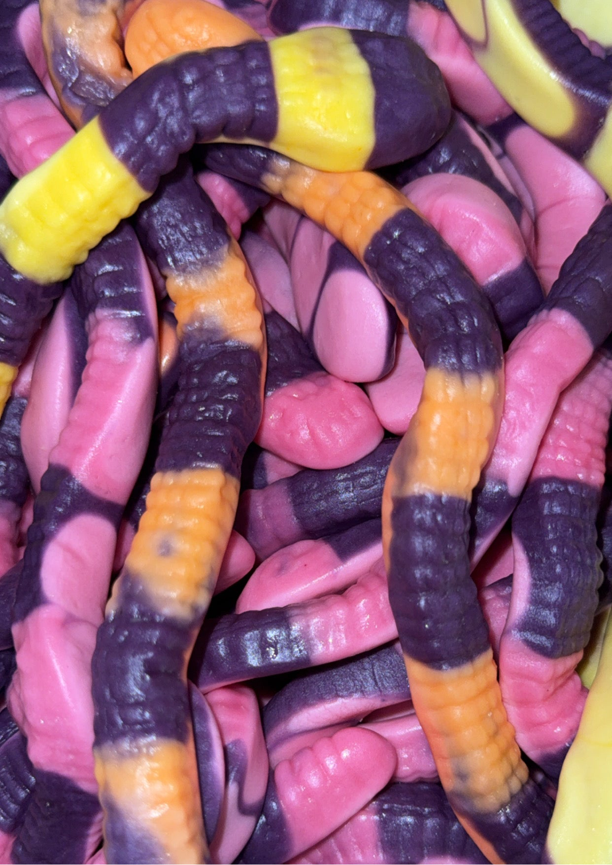 Serpents Anacondas Géants (100g)