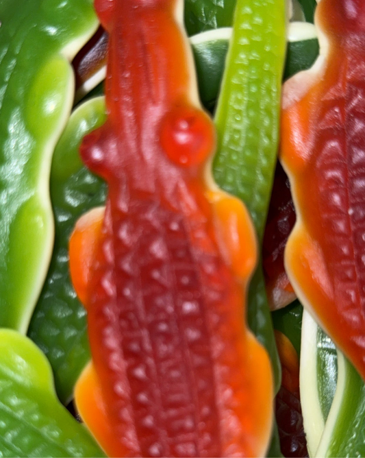 Alligators Géants (100g)