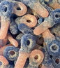 Tétine Bubblegum Veggie (100g)