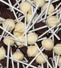 Thijs Duo Mix Sucette nougat au chocolat blanc/lait (30g)