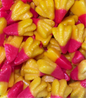 Pattes de Poulets Halal (100g)
