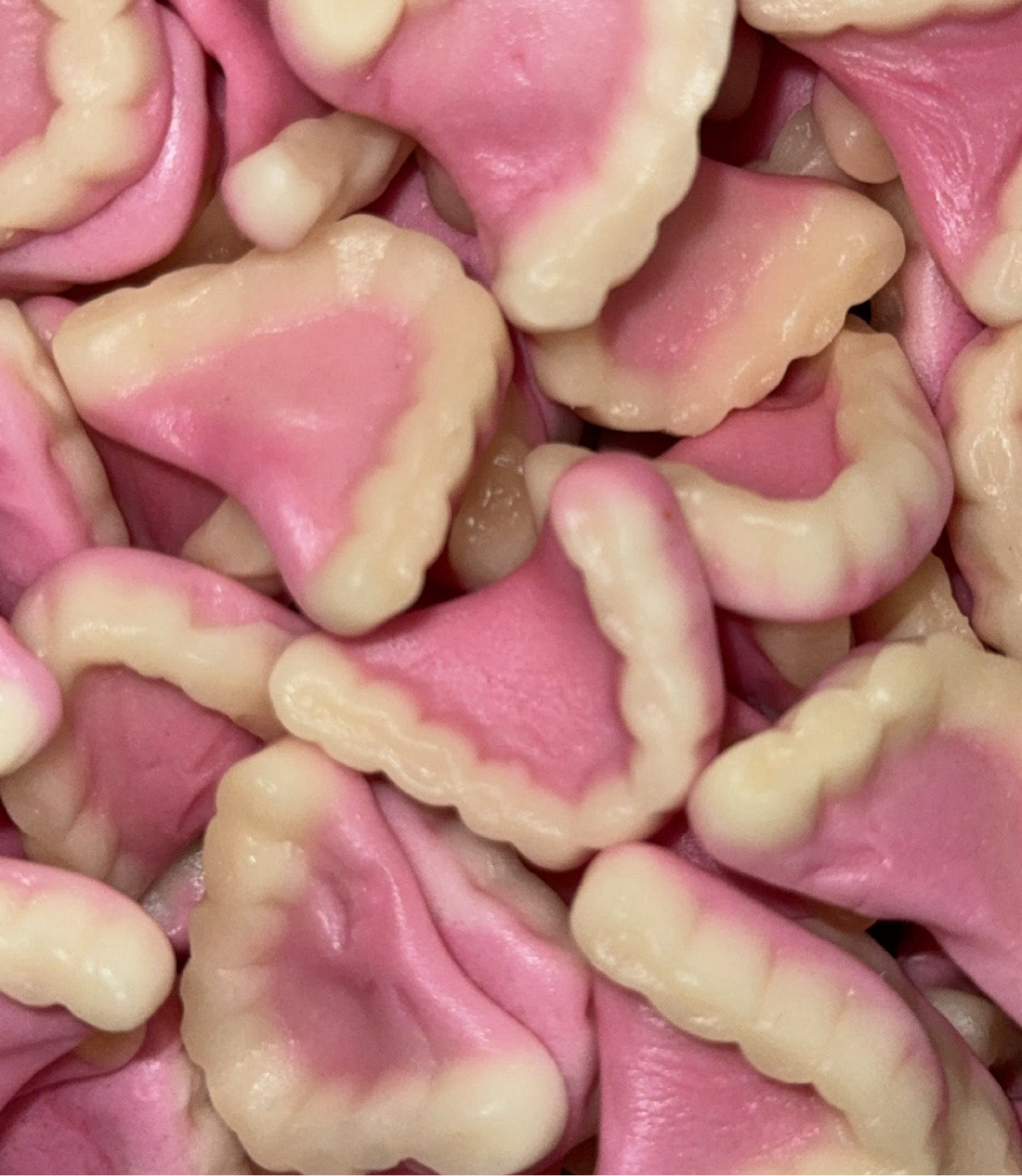 Dentiers Lisses Halal (100g)