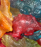 Dinosaures - (100g)