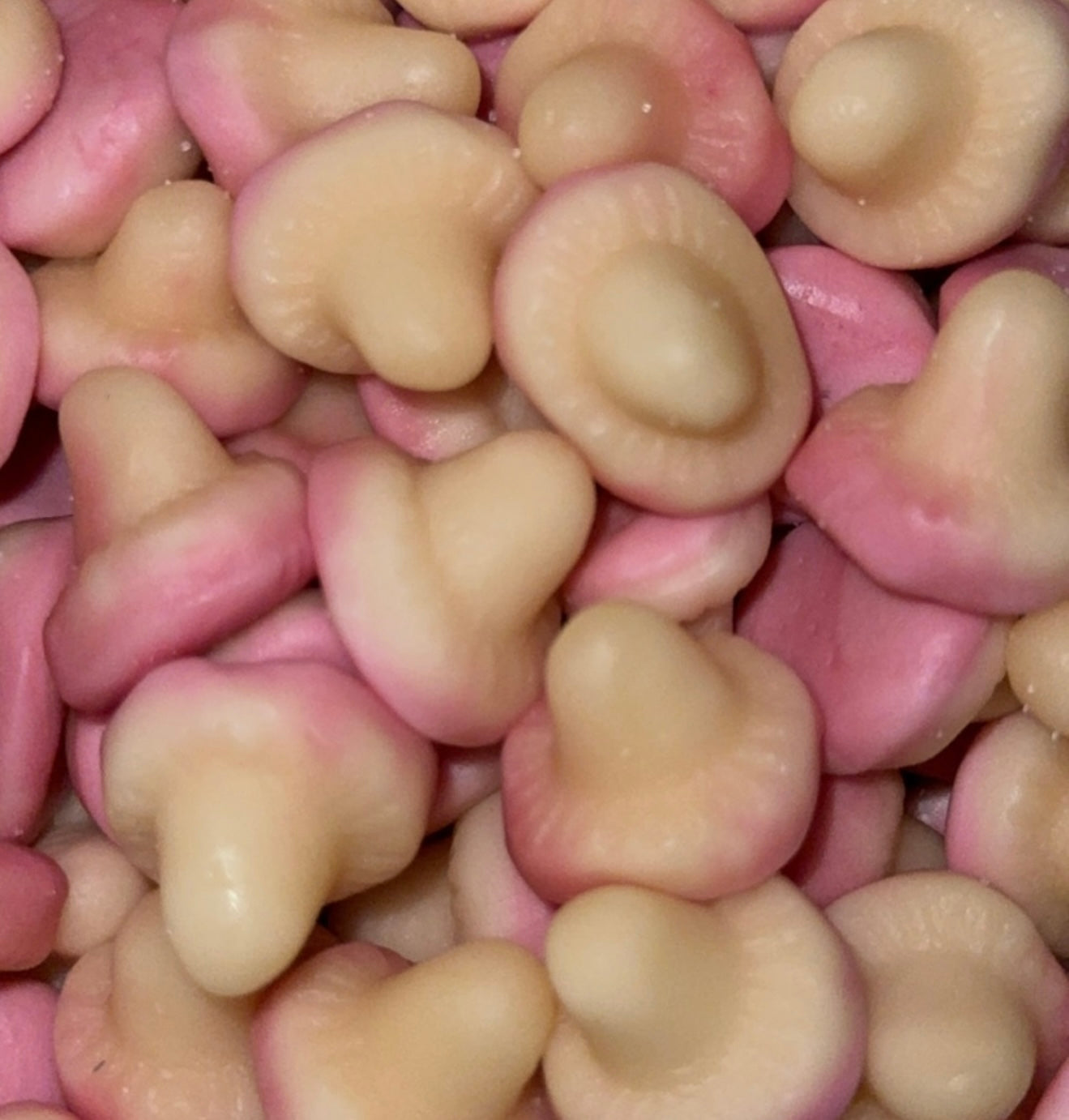 Champignons Lisse 🍄 - Halal (100g)