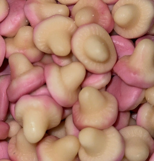 Champignons Lisse 🍄 - Halal (100g)