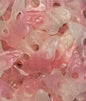 Lollywood Papillon Fraise (100g)